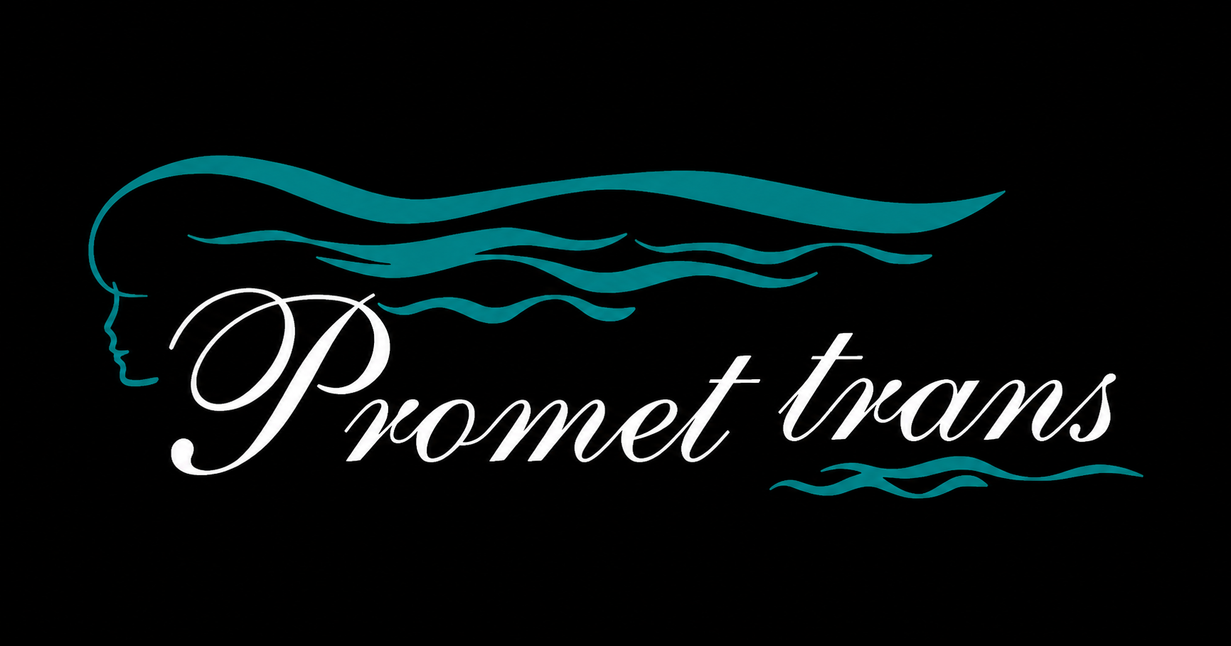 Promet Trans